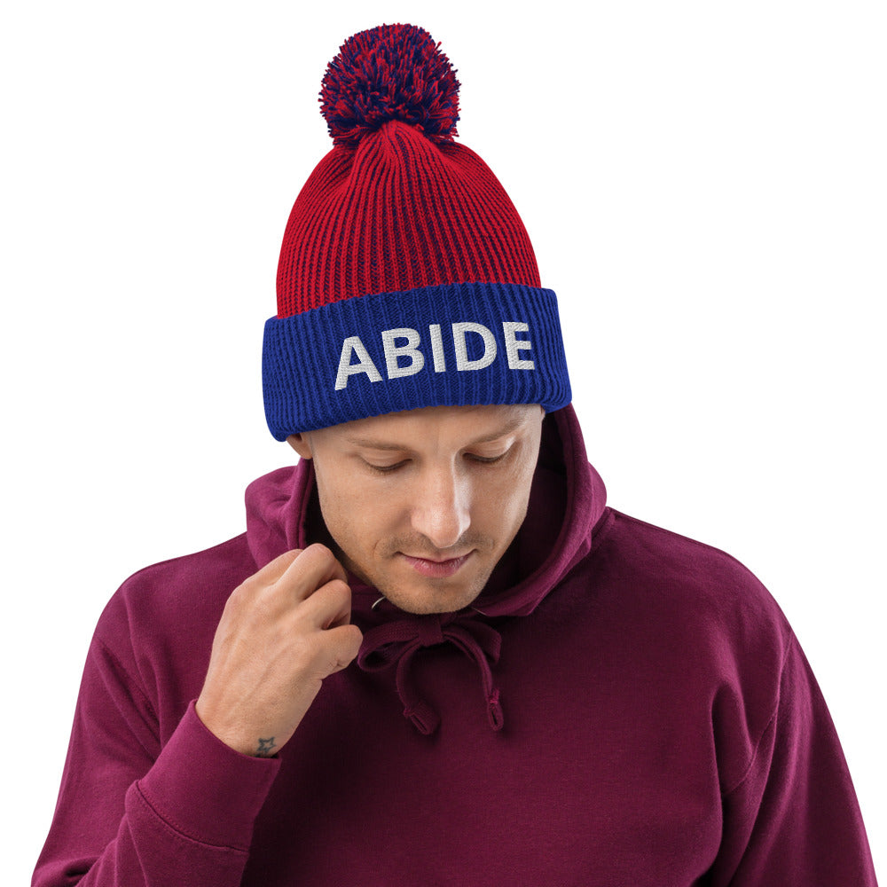 The ABIDE Beanie (Red/Royal)