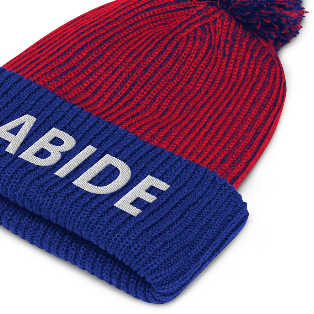 The ABIDE Beanie (Red/Royal)